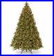 10f_Douglas_Lighted_Artificial_Fir_Christmas_Tree_01_zec