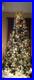 12_ft_Christmas_Tree_white_lights_decorated_stand_storage_bags_included_01_dqwl