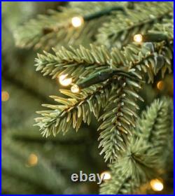 12 ft. Elegant Twinkling Grand Fir LED Pre-Lit Artificial Christmas Tree