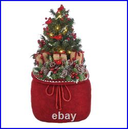 24 BAG WITH LIGHTED TREE AND CARDINALS Raz Imports CHRISTMAS 4015548 NEW Wow