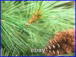 25 Christmas Tree White pine Starter trees 10-13 inch tall transplant seedlings 25 Christmas Tree White pine Starter trees 10-13 inch tall transplant seedlings