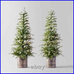 2pc 5' Pre-Lit Balsam Fir Potted Artificial Christmas Tree Clear Lights