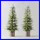 2pc_5_Pre_Lit_Balsam_Fir_Potted_Artificial_Christmas_Tree_Clear_Lights_01_qlv