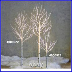 48 BIRCH LIGHTED TREE 4FT LED Warm White FAIRY LIGHTS Christmas RAZ 4000923 NEW