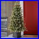 4_5_ft_Pre_Lit_Aspen_Artificial_Potted_Christmas_Tree_FREE_SHIPPING_01_lz