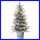 4_5_ft_Pre_Lit_Snowy_Alpine_Fir_Tree_with_LED_Lights_Plug_In_01_uz