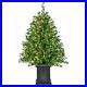 4_Ft_Boxwood_Artificial_Christmas_Tree_with_White_LED_Lights_01_dx