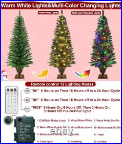 4 Ft Outdoor Christmas Tree Set with Timer & Remote Dual Color Lights