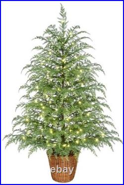 4' Pre-Lit Green Cypress Artificial Christmas Tree Twinkle Lights My Texas House