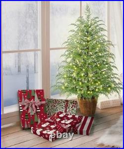 4' Pre-Lit Green Cypress Artificial Christmas Tree Twinkle Lights My Texas House