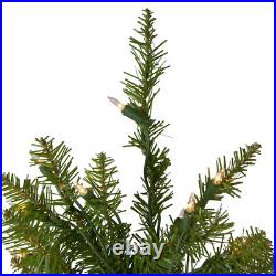 4' Pre-Lit Northern Pine Full Artificial Christmas Tree Clear Lights