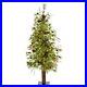 4_Wyoming_Alpine_Christmas_Tree_with_50_Clear_LED_Lights_01_yevp