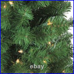 4' X 25 Pre-Lit Blackwater Fir Artificial Christmas Tree- Clear Lights