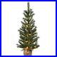 4_ft_Frosted_Ontario_Pine_Tree_with_Battery_Operated_Lights_01_mgo