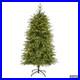 5Ft_Vancouver_Fir_Natural_Look_Artificial_Christmas_Tree_with_350_Clear_LED_Lig_01_ecd