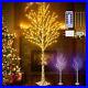 5_5FT_Lighted_Birch_Tree_440_LED_Warm_White_Lights_Indoor_Outdoor_Christmas_01_vdom