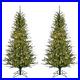 5_Ft_Farmhouse_Fir_Artificial_Christmas_Tree_Warm_LED_Light_Set_Indoor_Outdoor_01_rj