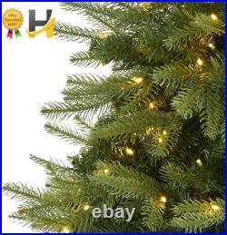5 Ft Vancouver Fir Natural Look Artificial Christmas Tree & 350 Clear LED Lights