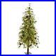 5_Wyoming_Alpine_Christmas_Tree_with_100_Clear_LED_Lights_01_xf