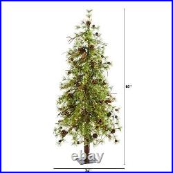 5' Wyoming Alpine Christmas Tree with 100 Clear LED Lights