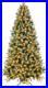 5_ft_Pre_Lit_Artificial_Christmas_Tree_Frosted_Pine_with_1131_Tips_250_Lights_01_mypt