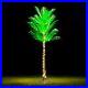 6FT_141_LED_Lighted_Palm_Trees_for_Outside_Patio_Artificial_Palm_Trees_Light_01_jg