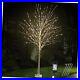 6FT_Lighted_Birch_Tree_840_LEDs_Warm_White_Lights_with_Twinkle_Lights_LED_01_nsfs