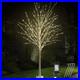 6FT_Lighted_Birch_Tree_840_Leds_Warm_White_Lights_with_Twinkle_Lights_LED_Artif_01_iro