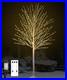 6FT_Lighted_Birch_Tree_Birch_Tree_with_880_LED_Lights_8_Twinkling_Modes_and_Ti_01_tucp