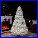 6Ft_Pre_Lit_Snow_Flocked_Christmas_Tree_with_250_Lights_Hinged_Design_01_zlp