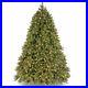 6_5_ft_Deluxe_Downswept_Douglas_Fir_Tree_with_Dual_Color_LED_Lights_01_zjn
