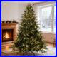 6_5_ft_Prelit_Artificial_Realistic_Christmas_Tree_2356_PE_PVC_Tips_450_Lights_01_gvr