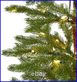 6.5ft Fairbanks Fir Artificial Christmas Tree with 250 Warm LED Lights
