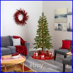 6.5ft Fairbanks Fir Artificial Christmas Tree with 250 Warm LED Lights