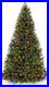 6_Ft_Pre_Lit_Blue_Fir_Artificial_Christmas_Tree_600_Multi_Color_LED_Lights_01_pms
