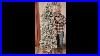 6_Ft_Pre_Lit_Snow_Flocked_Pencil_Christmas_Tree_Fir_01_dfp
