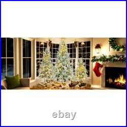 6' Pre-Lighted Spruce Edelweiss Christmas Tree with Multi-Color LED Lights NEW 6' Pre-Lighted Spruce Edelweiss Christmas Tree with Multi-Color LED Lights NEW