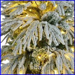 6' Pre-Lighted Spruce Edelweiss Christmas Tree with Multi-Color LED Lights NEW 6' Pre-Lighted Spruce Edelweiss Christmas Tree with Multi-Color LED Lights NEW
