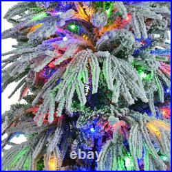 6' Pre-Lighted Spruce Edelweiss Christmas Tree with Multi-Color LED Lights NEW 6' Pre-Lighted Spruce Edelweiss Christmas Tree with Multi-Color LED Lights NEW