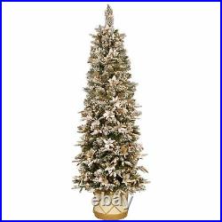6 ft. Frosted Colonial Slim Half Tree with Clear Lights