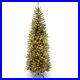 6_ft_Kingswood_Fir_Pencil_Tree_with_Clear_Lights_01_sxqu