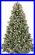 6_ft_Lighted_Frosted_Christmas_Tree_Artificial_Pine_Christmas_Tree_01_oau