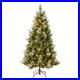 6_ft_Pre_Lit_Charleston_Pine_Slim_Tree_with_Clear_Lights_Plug_In_01_jkjl