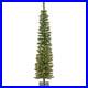 6_ft_Pre_Lit_Nooksack_Fir_Pencil_Slim_Tree_with_LED_Lights_Plug_In_01_nn