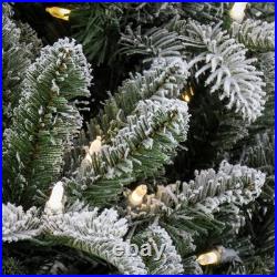 6 ft. Pre-Lit Snowy Libby Fir Tree with LED Lights, Plug-In