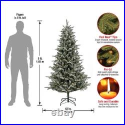 6 ft. Pre-Lit Snowy Libby Fir Tree with LED Lights, Plug-In