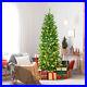 6_ft_Pre_lit_Pencil_Christmas_Tree_Hinged_Fir_Tree_Holiday_Decor_with_LED_Lights_01_kpgu