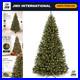6ft_Pre_Lit_Artificial_Christmas_Tree_with_LED_Twinkling_Lights_Realistic_Holid_01_kqg
