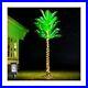 7FT_LED_Lighted_Palm_Trees_for_Outside_Patio_Artificial_Palm_Trees_with_Ligh_01_ixo