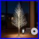7FT_Lighted_Birch_Christmas_Tree_with_1000_Warm_White_Twinkle_LED_Lights_01_af